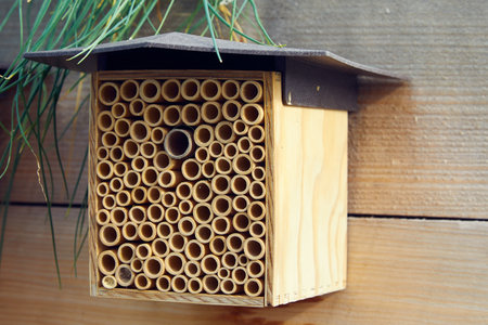 A bee house made of wood on a fence in the garden, a handmade beehive made of bamboo tubes. Insect...