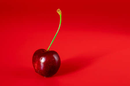 dark red ripe cherry or cherry berry with a stalk on a red background. copy spaceの写真素材