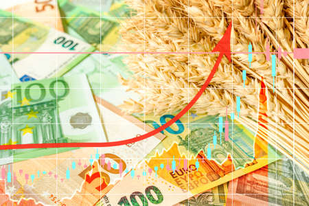 An ascending arrow on the background of ripe ears of wheat on 100 and 50 euro bills. Increase in the cost of wheat, bread, food. The global wheat, grain, and food crisis.の写真素材