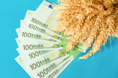 Ripe ears of wheat and 100 euro bills on a blue background. Increase in the cost of wheat, grain, bread, food. The global food crisis.の写真素材