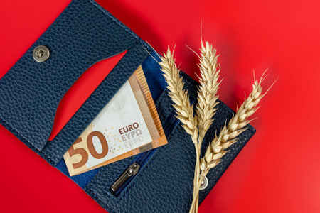 Wallet with 50 euro banknote, credit card and wheat ears. The concept of crisis, shortage of grain cropsの写真素材