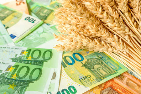 Money to buy wheat, grain, food. Ripe ears of wheat on 100 and 50 euro bills. The global crisis.の写真素材