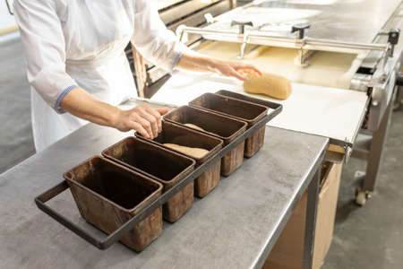 Bakery worker fills metal bread baking pans with dough. Industrial automated line for baking bakery products. Equipment for production of bread in bakery. Metal containers for baking bread on tableの写真素材