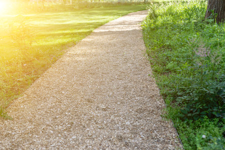 The path through the green summer park. A walking path made of fine gravel in a summer park at sunset. The concept of travel. Selective focusの写真素材