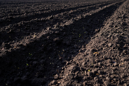 Furrows rows in a plowed field prepared for planting crops in spring. Land prepared for planting and cultivating the crop. Plowed field, deep level furrow before sowing.の写真素材