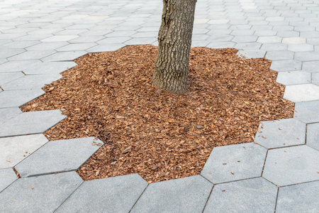 Hexagonal paving around a tree trunk on a pedestrian boulevard Mulching the trunk of a tree with a...