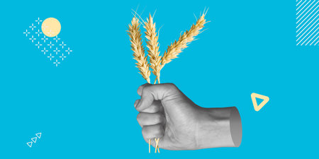 Agriculture, harvesting. Hand holding ears of wheat. Minimalist art collageの写真素材