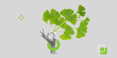 Ginkgo Biloba green branch in hand on a gray background. Improving brain function, memory and attention concept. Minimalist art collageの写真素材