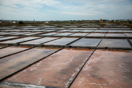 Natural traditional sea salt extraction by evaporation in Aveiro, Portugalの写真素材