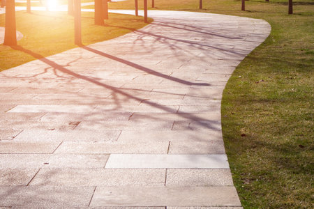Landscape architecture and urban park development. Smooth curved stone-tile pathway with sunlight casting shadows. Infrastructure, accessibility, urban design and landscaping.の写真素材