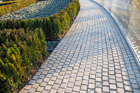 Curved cobblestone path along trimmed hedges. Ideal for themes of city landscape, tradition, and garden aesthetics.の写真素材