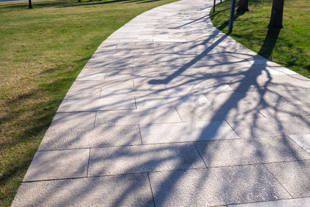 Pedestrianization and landscape design in public parks. Turning path with long tree shadows among...