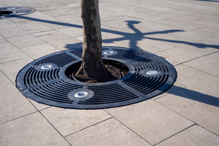 Circle tree grate with irrigation system and lighting elements near grass patch on pedestrian sidewalk. Improvement of urban environment, modern urban environment, pedestrian path in parkの写真素材