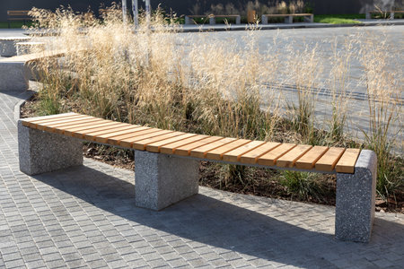 Modern concrete benches with wooden seats next to ornamental grasses in landscape design. Photo.