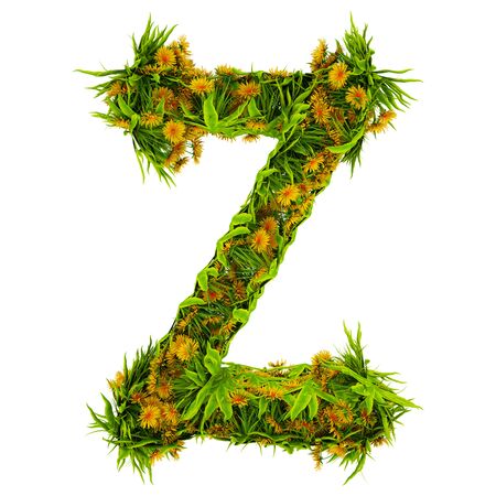 Letter Z made of flowers and grass isolated on white. 3d illustration.の写真素材
