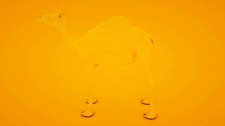 Camel on orange background. Minimal idea concept, 3d illustration.の写真素材