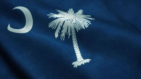 South Carolina State flag waving in the wind. National flag of South Carolina. Sign of South...