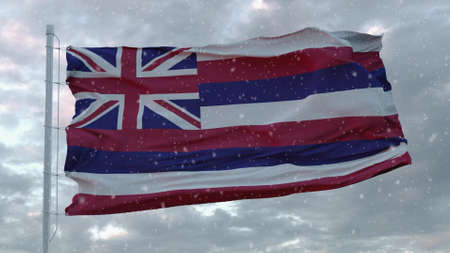 Hawaii winter flag with snowflakes background. United States of America. 3d rendering