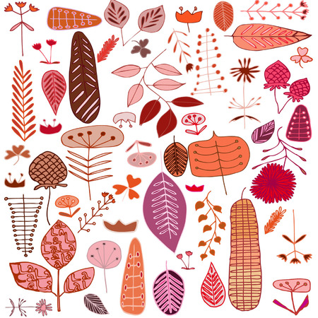 the leaves of various shapes and texturesのイラスト素材