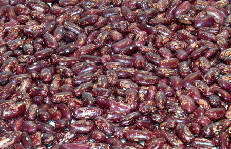 Red speckled kidney beans  Photo made in the backgroundの写真素材
