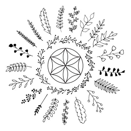 Nature Mandalaのイラスト素材