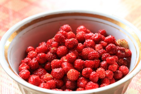 Lots of strawberries. Background of wild forest berriesの写真素材
