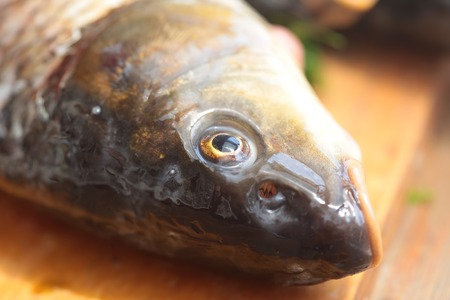 Raw fish on a cutting Board. Carp Fishの写真素材