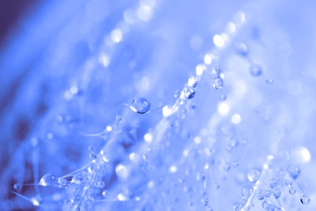 Abstraction in blue tones with dew dropsの写真素材