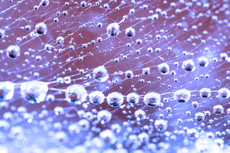 Abstract image of droplets on spider web close upの写真素材