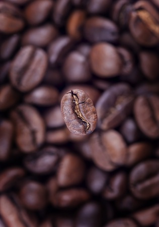 coffee background closeup. Focus on one grainの写真素材