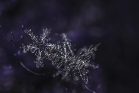 Extreme macro of snowflake crystals on hairy gloveの写真素材
