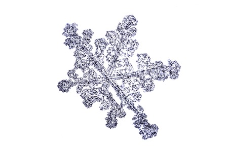 natural snowflake isolated on a white close upの写真素材