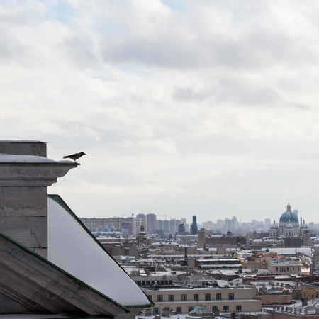 View of St. Petersburg from the colonnade of St. Isaac's Cathedral.の写真素材