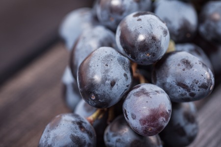 bunch of black grapes close up on the table still lifeの写真素材