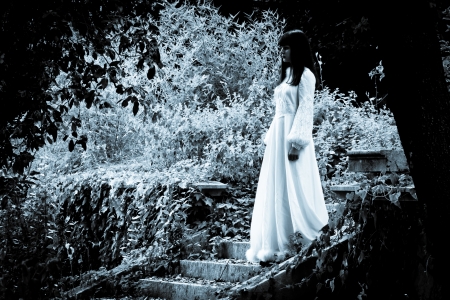 The Woman in Whiteの写真素材