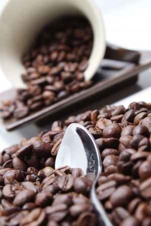 coffee beanの写真素材