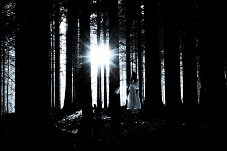 Woman with long black hair in white dress in the spooky dark forestの写真素材