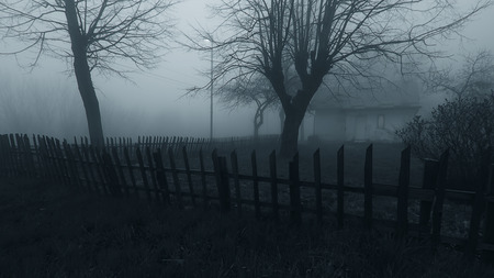 Abandoned Horror House in the Misty Forestの写真素材