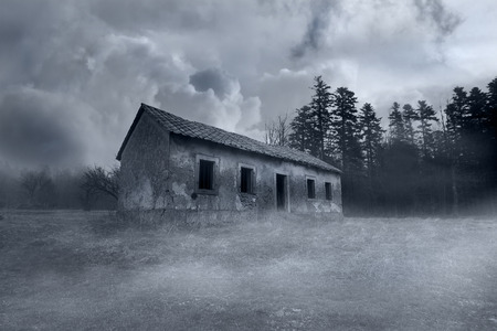 Abandoned Horror House in the Misty Forestの写真素材
