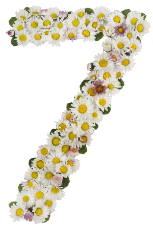 number sevenの写真素材