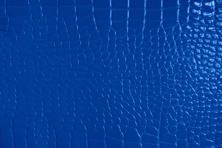 Blue skin textureの写真素材