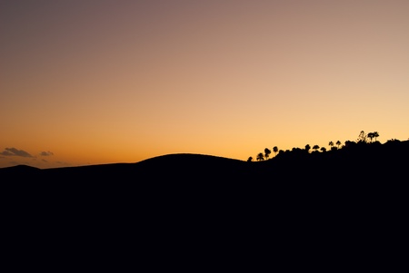 dark silhouette of sand and trees at sunsetの写真素材