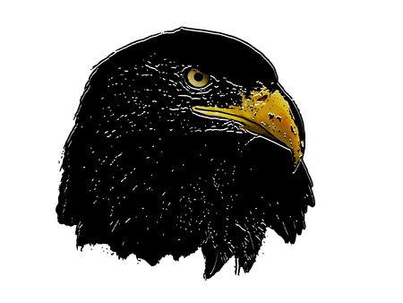 Graphical sketch of silhouette predator eagleのイラスト素材