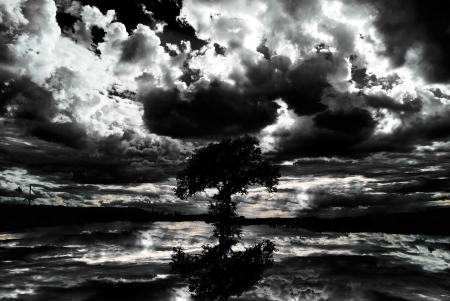 Scary dark scenery with naked trees cloudsの写真素材