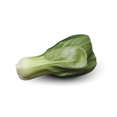 Fresh juicy lettuce salad leaves isolated on white backgroundのイラスト素材