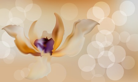 Romantic fuzzy flower backgroundのイラスト素材