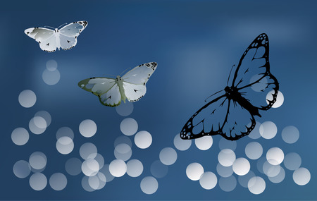 set Monarch Butterfly with open wings  top viewのイラスト素材