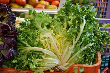 Bouquets of lush curly lettuce red and green at the grocery storeの写真素材
