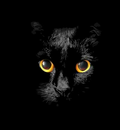 head of black cat with glowing Golden eyesのイラスト素材