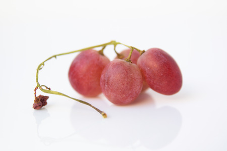 Glowing ripe berries of red grapes on white backgroundの写真素材
